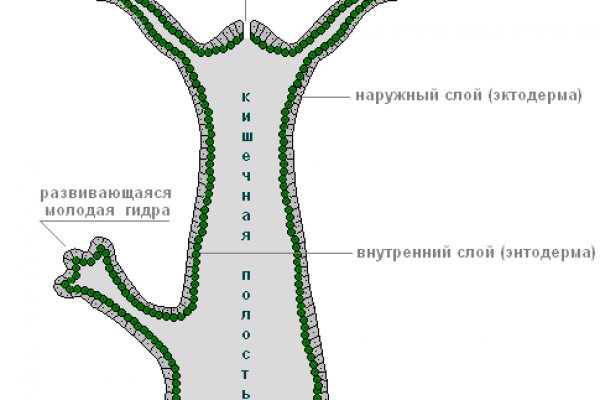 Кракен krakens13 at