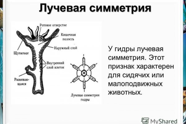 Кракен зеркало на сегодня